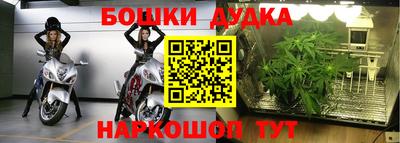 прущие крисы Беслан