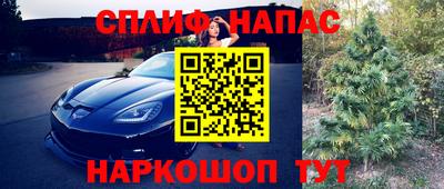 твердый Бийск