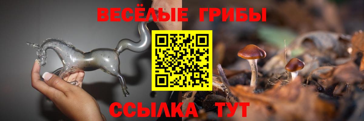 Галлюциногенные грибы GOLDEN TEACHER  Галлюциногенные грибы Magic Shrooms  Касимов  Вход с VPN 